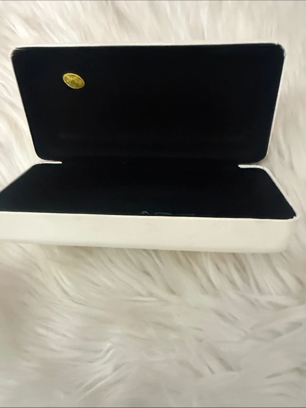 Dolce & Gabbana Black and White Eyewear Case